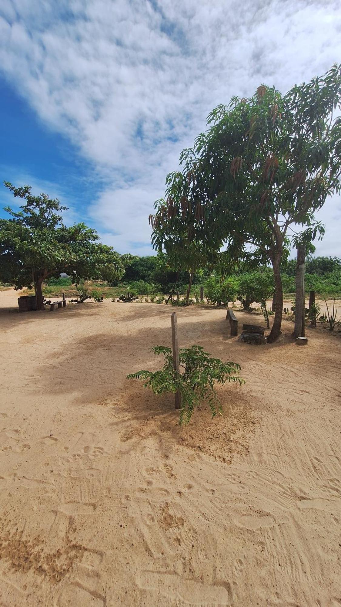 Pousada Maria Sara Jijoca de Jericoacoara Eksteriør bilde